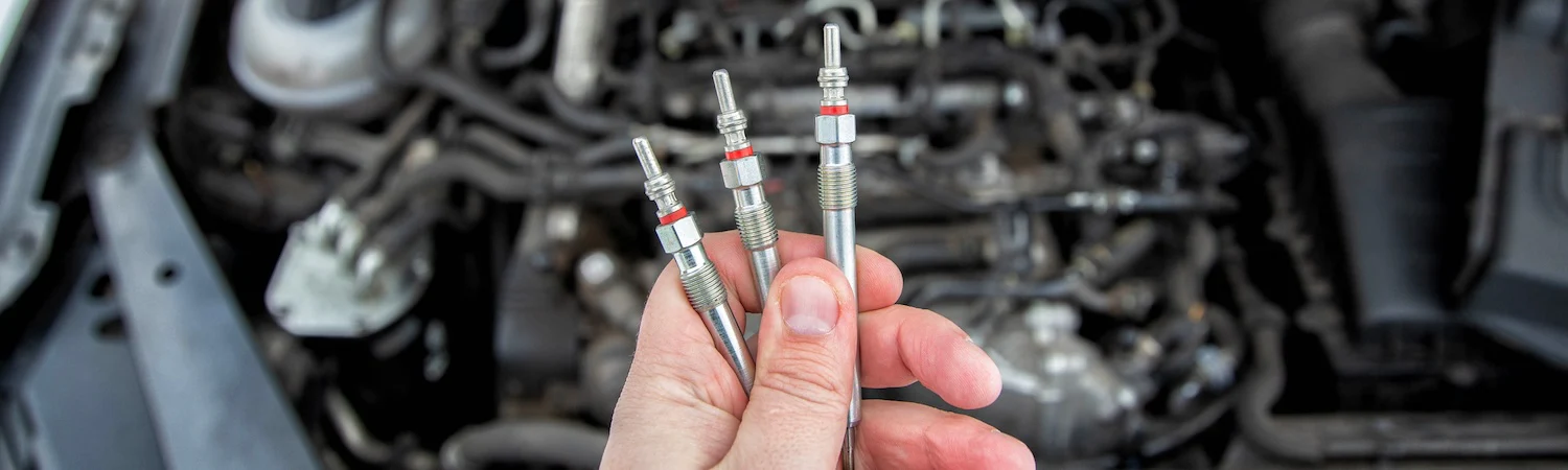 Welcome to Our Store